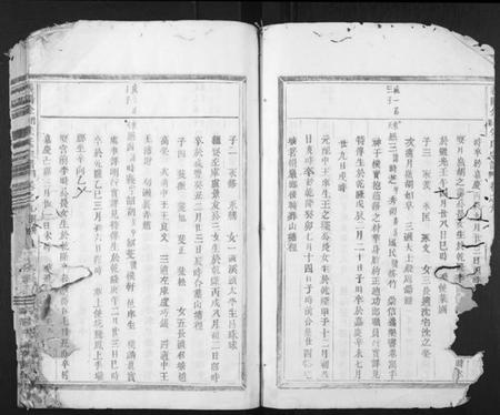 浙江朱氏族谱-义阳金竹塘朱氏宗谱.pdf电子版插图2