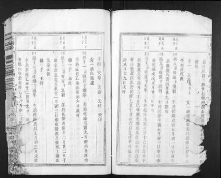 浙江朱氏族谱-义阳金竹塘朱氏宗谱.pdf电子版插图4