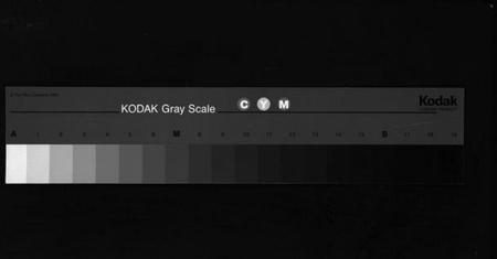 浙江翁氏族谱-翁氏宗谱 [15卷].pdf电子版