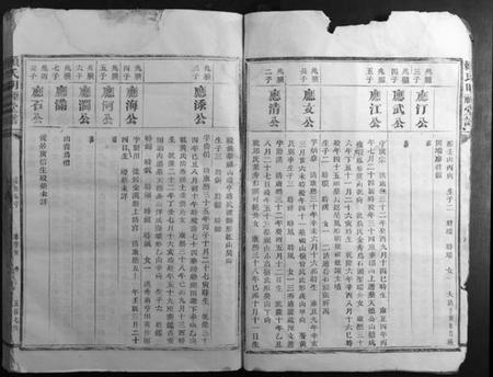 江西赖氏族谱-赖氏明礼堂谱.pdf电子版插图3