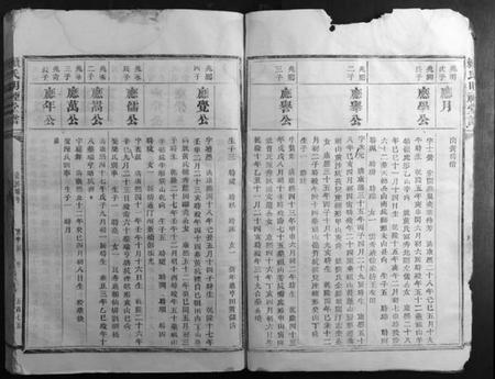 江西赖氏族谱-赖氏明礼堂谱.pdf电子版插图4