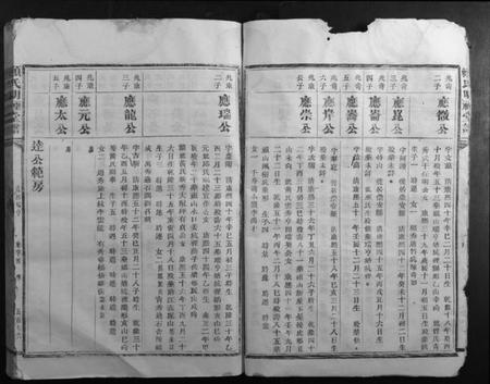 江西赖氏族谱-赖氏明礼堂谱.pdf电子版插图5