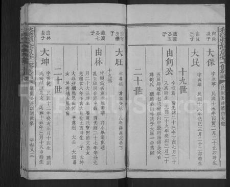 江西赖氏族谱-秋溪赖氏崇恩堂七修族谱 [残卷].pdf电子版插图2