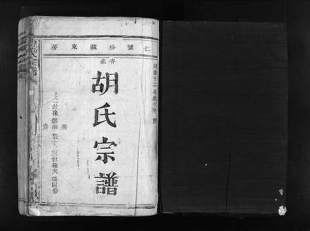 浙江胡氏族谱-胡氏宗谱 [不分卷].pdf电子版插图2