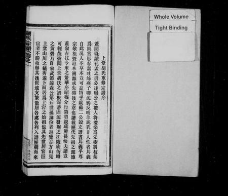 浙江胡氏族谱-胡氏宗谱[9卷].pdf电子版插图2