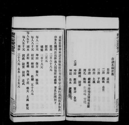 浙江胡氏族谱-胡氏宗谱[9卷].pdf电子版插图4