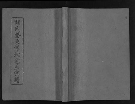 浙江胡氏族谱-胡氏登东派北宅房宗谱 [不分卷].pdf电子版插图1