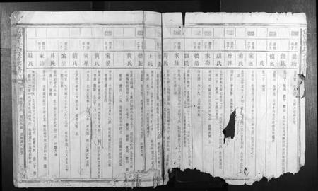 江西蓝氏族谱-信丰蓝氏六修族谱.pdf电子版插图3