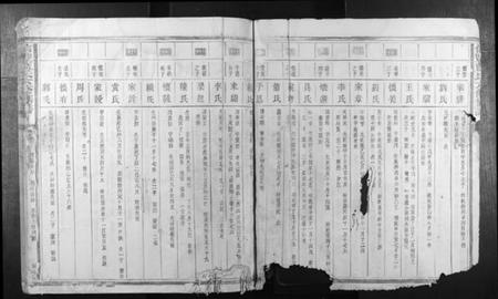 江西蓝氏族谱-信丰蓝氏六修族谱.pdf电子版插图5