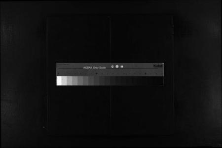 浙江蔡氏族谱-芙川蔡氏宗谱[2册].pdf电子版