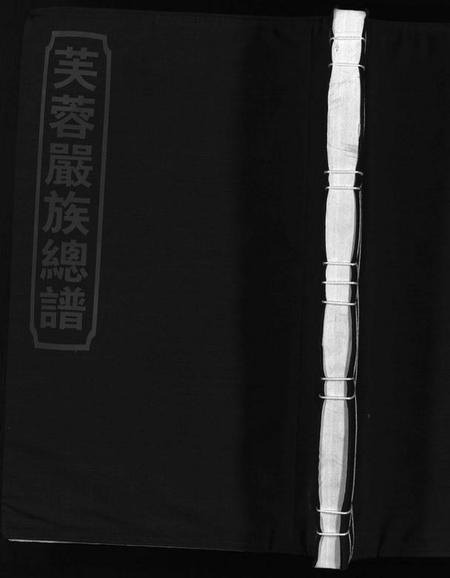 浙江严氏族谱-芙蓉严氏总谱 [不分卷].pdf电子版插图1