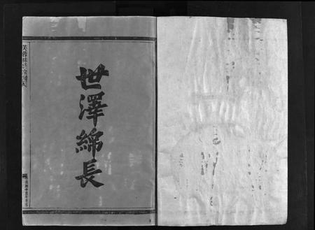 浙江林氏族谱-芙蓉林氏宗谱[11卷, 首1卷].pdf电子版插图2