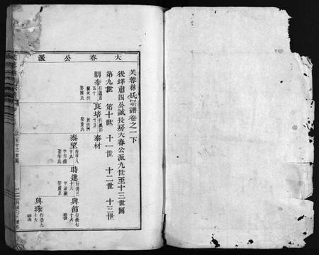 浙江林氏族谱-芙蓉林氏宗谱[总卷数不详].pdf电子版插图2
