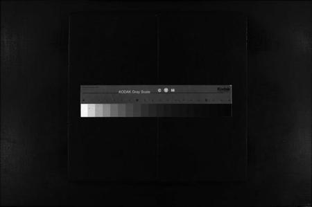 浙江林氏族谱-芙蓉林氏房谱[不分卷].pdf电子版