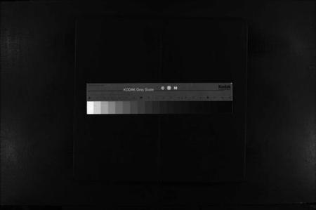 浙江陈氏族谱-芙蓉陈氏族谱 [不分卷].pdf电子版