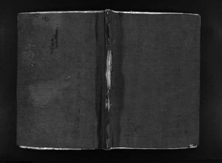 浙江陈氏族谱-芙蓉陈氏族谱 [不分卷].pdf电子版插图1