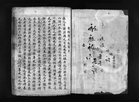 浙江陈氏族谱-芙蓉陈氏族谱 [不分卷].pdf电子版插图2