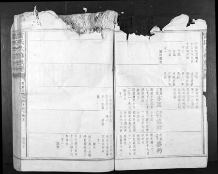 江西雷氏族谱-雷氏六修族谱[不分卷].pdf电子版插图4