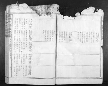 江西雷氏族谱-雷氏六修族谱[不分卷].pdf电子版插图5
