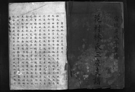 浙江林氏族谱-花村林氏三房支谱[1册].pdf电子版插图2