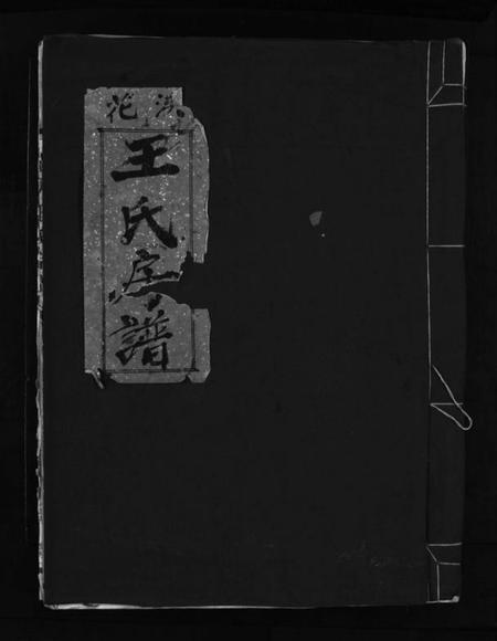 浙江王氏族谱-花浃王氏房谱 [不分卷].pdf电子版插图1