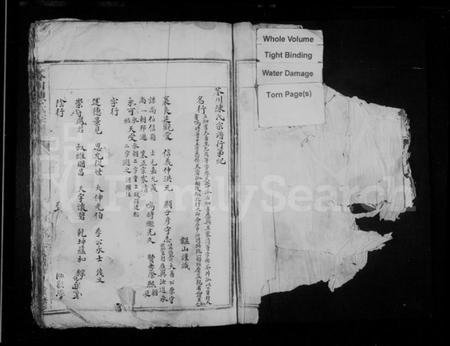 浙江陈氏族谱-苓川陈氏宗谱.pdf电子版插图2