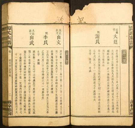 湖南谭氏族谱-谭氏族谱.pdf电子版插图3