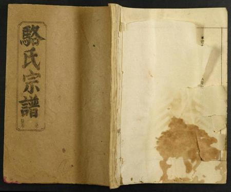 中国骆氏族谱-骆氏十修家谱.pdf电子版插图 中国骆氏族谱-骆氏十修家谱.pdf电子版插图