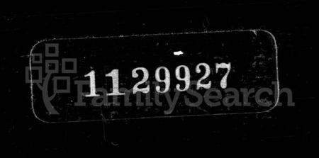 浙江章氏族谱-荻溪章氏支谱.pdf电子版