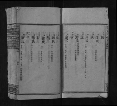 湖南谭氏族谱-邵阳平乡谭氏四修族谱.pdf电子版插图4 湖南谭氏族谱-邵阳平乡谭氏四修族谱.pdf电子版插图4