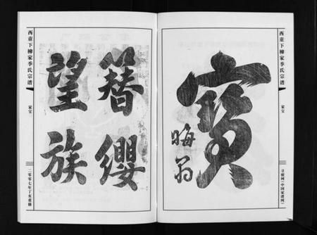浙江季氏族谱-华山西童下柳家季氏宗谱 [不分卷].pdf电子版插图4