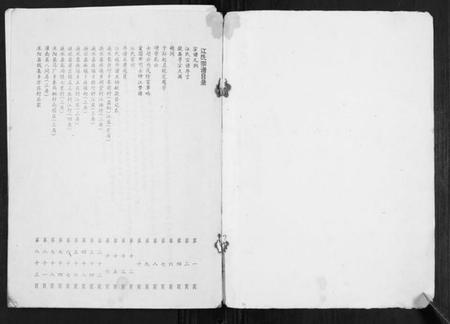 江苏江氏族谱-江氏宗谱[不分卷].pdf电子版插图1