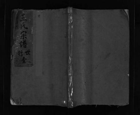 浙江王氏族谱-华阳王氏宗谱 [5卷].pdf电子版插图1