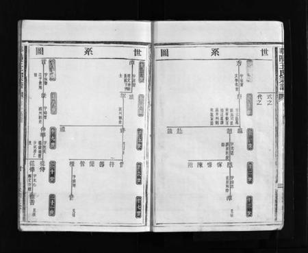 浙江王氏族谱-华阳王氏宗谱 [5卷].pdf电子版插图5