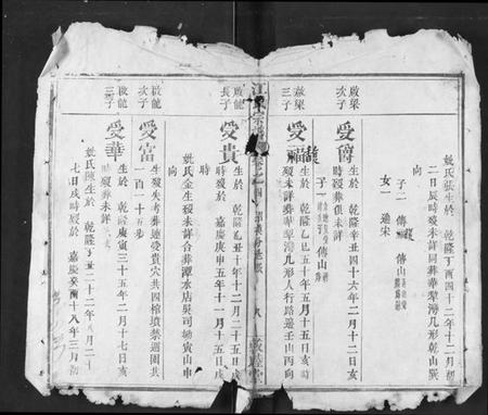 湖北江氏族谱-江氏宗谱.pdf电子版插图4