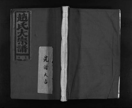 浙江赵氏族谱-万泽赵氏宗谱 [不分卷].pdf电子版插图1