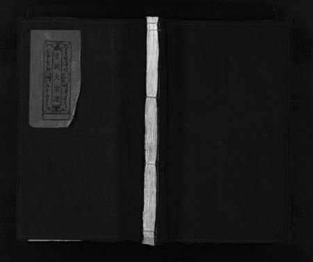 浙江叶氏族谱-叶氏大宗谱 [残卷].pdf电子版插图1