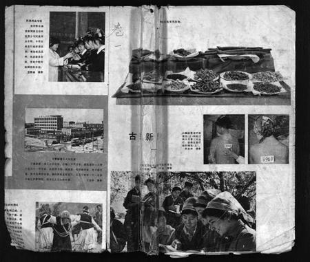 浙江叶氏族谱-叶氏宗谱 [5卷].pdf电子版插图1