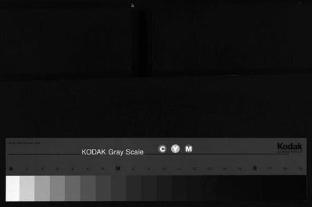 浙江董氏族谱-董氏宗谱 [11卷].pdf电子版