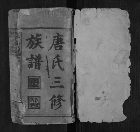 湖南唐氏族谱-唐氏三修族谱[4卷首1卷].pdf电子版插图1