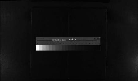 浙江董氏族谱-董氏总谱 [不分卷].pdf电子版