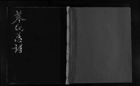 浙江董氏族谱-董氏总谱 [不分卷].pdf电子版插图1