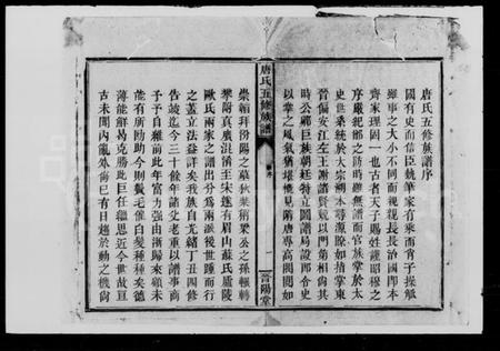 湖南唐氏族谱-唐氏五修族谱.pdf电子版插图3