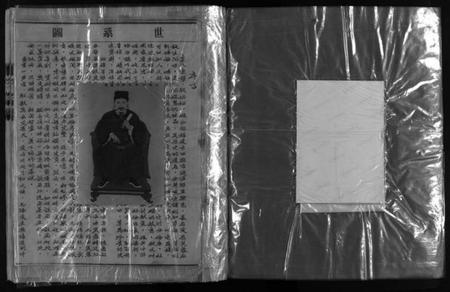 浙江董氏族谱-董氏总谱 [不分卷].pdf电子版插图4