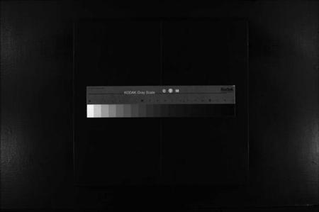 浙江臧氏族谱-蒲城臧氏宗谱 [2卷].pdf电子版