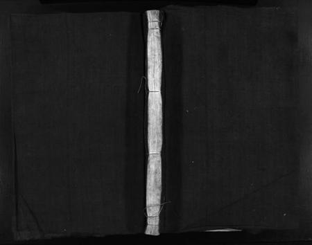 浙江臧氏族谱-蒲城臧氏宗谱 [6卷].pdf电子版插图1