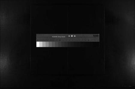 浙江张氏族谱-蒲岐城郭张氏宗谱 [2卷].pdf电子版