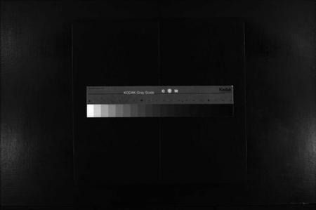 浙江张氏族谱-蒲岐城郭张氏宗谱 [2卷].pdf电子版