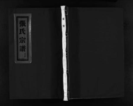 浙江张氏族谱-蒲岐城郭张氏宗谱 [5卷,含首1卷].pdf电子版插图1