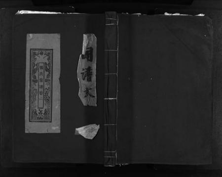 浙江张氏族谱-蒲岐城郭张氏宗谱 [残卷].pdf电子版插图1